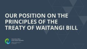 Image with the title Our position on the Principles of the Treaty of Waitangi Bill