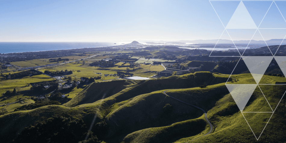 Western Bay of Plenty Health Services