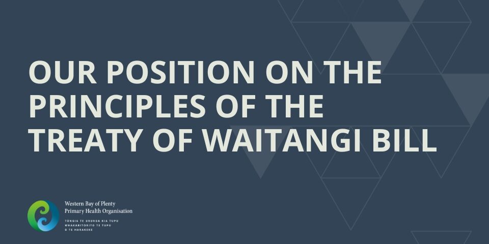 Image with the title Our position on the Principles of the Treaty of Waitangi Bill